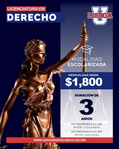 Licenciatura en Derecho Modalidad Escolarizada